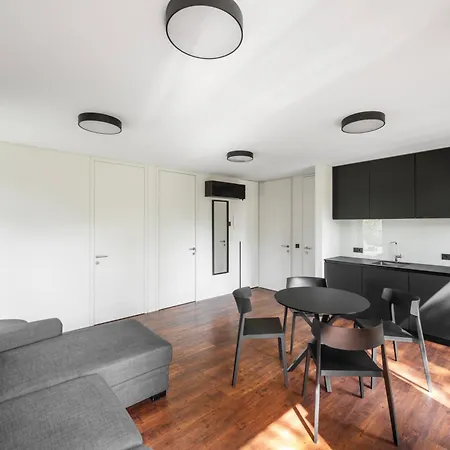 Juodasis Gintaras Apartament