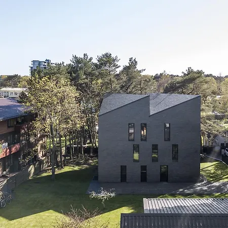 Juodasis Gintaras Паланга